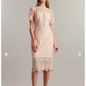 Tadashi Shoji Bobek Lace Tea Length Dress Lace Tie at Elbow Primer Blush Size 4.